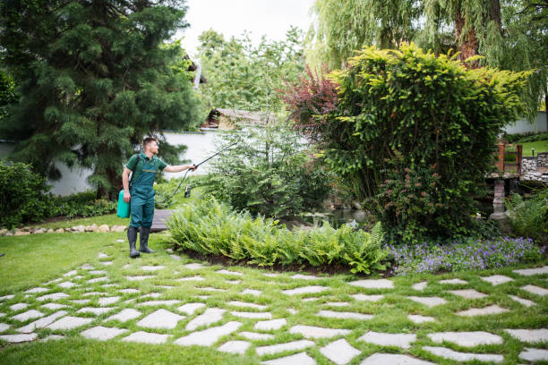 Best Pest Control for Businesses  in Pine Level, AL