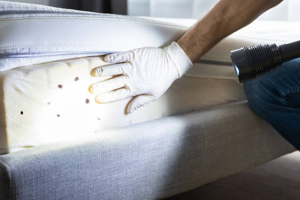 Best Best Pest Control Companies  in Pine Level, AL